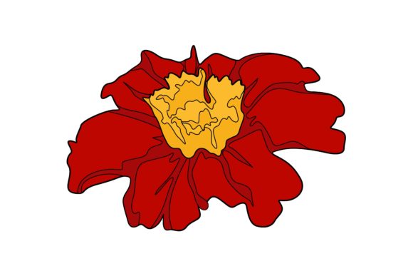 Blossom Flowers Stickers Illustration Graphics Review