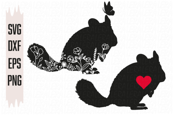 Chinchilla Flowers Graphics and Illustrations Review