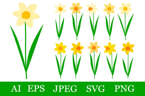 Daffodils Bundle SVG Review: Spring Embroidery Potential