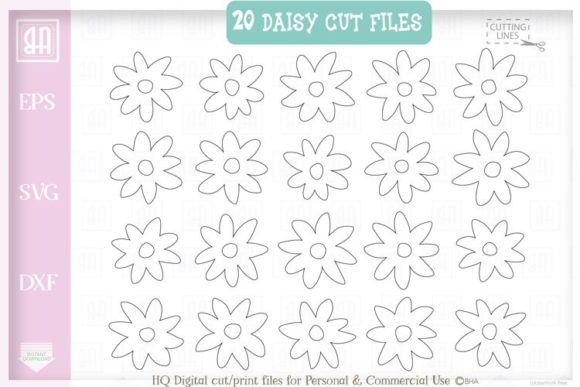Daisy Bundle, Flowers SVG, Wildflowers Graphics and Illustrations