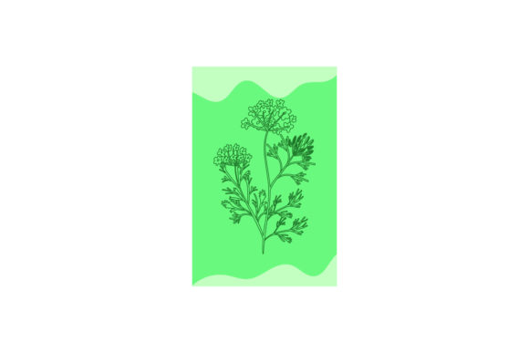 Flowers Card Nature: Graphics and Illustrations for Branding