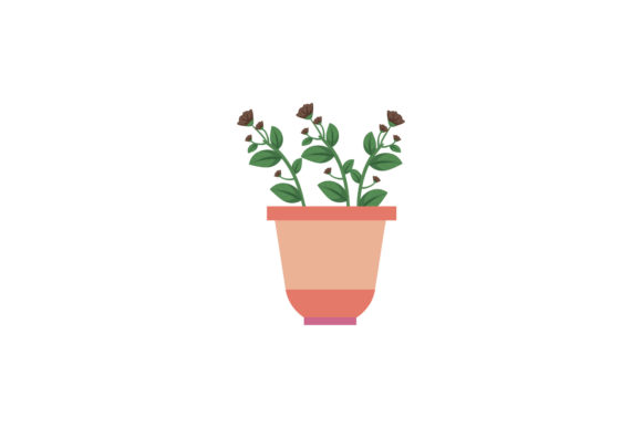 Flowers Flora Color Graphics and Illustrations Review