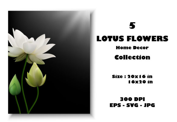 Lotus Flowers Home Decor Collection Graphics and Illustrations Review
