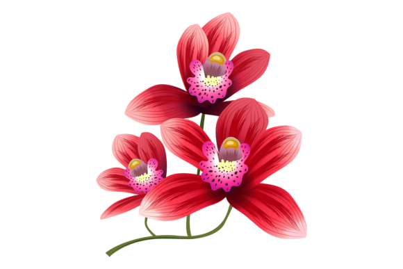 Red Flowers Branch. Exotic Bright Blosso Graphics and Illustrations