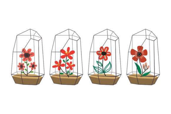 Various Red Flowers Graphics and Illustrations Review