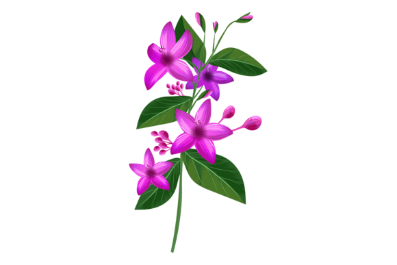 Violet Flowers from Tropical Jungle Plan Graphics and Illustrations