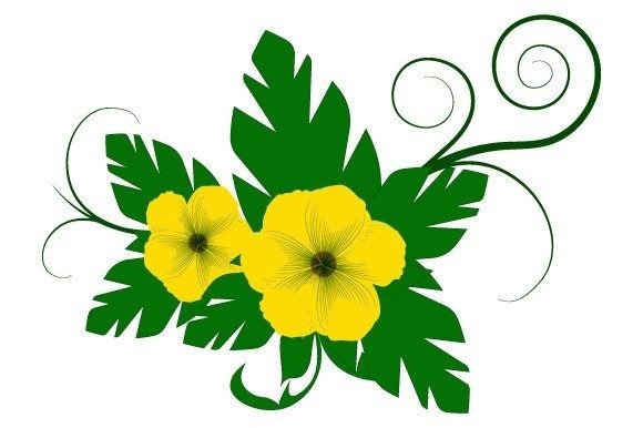 Yellow and Green Flowers Illustration Graphics